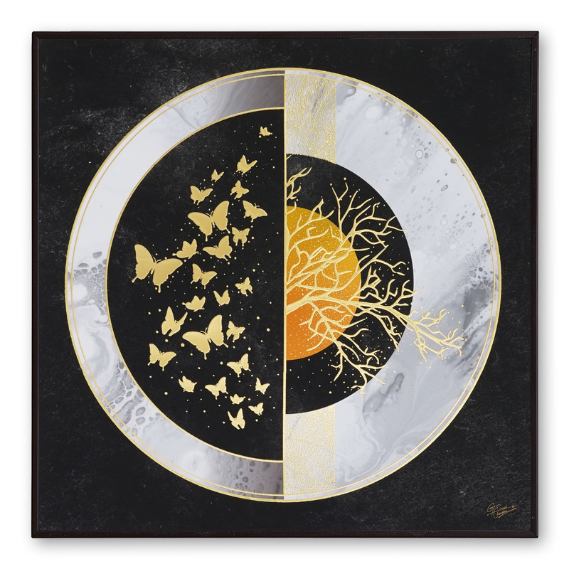 Chitran Product Photography